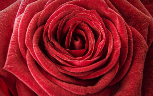 1058917 (a): :2880x1800